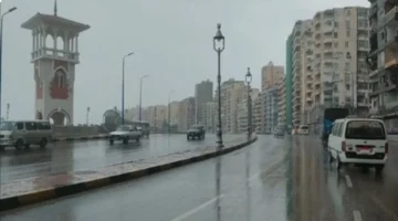 «الأرصاد» تتوقع طقسًا شديد البرودة مع أمطار غدًا الأحد